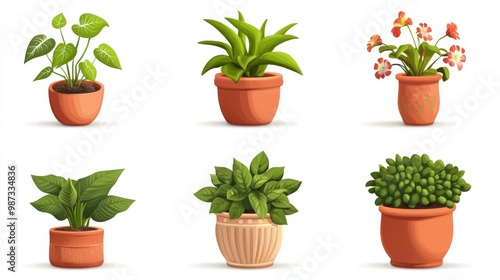 A collection of potted plants with various styles. photo