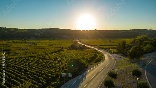 A breathtaking aerial view of the Vrbnik winery fields at sunset, located on the island of Krk, Croatia. The golden hues of the setting sun cast a warm glow over the rolling vineyards photo