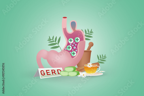 Homeopathy concept for gerd (Gastroesophageal Reflux Disease} with herbal plants that are usually used to treat pain
