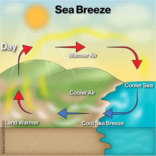 Detailed Mechanism of Sea Breeze Formation: A Comprehensive Science Vector Illustration Explaining Coastal Winds and Temperature Variations