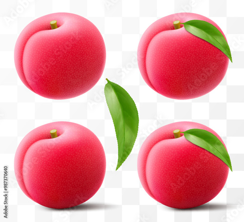 Juicy sweet plum isolated on transparent background. Round red fruits, prunes, red jam natural berries, dark grapes, date fruit, fresh organic food. Realistic vector 3d illustration