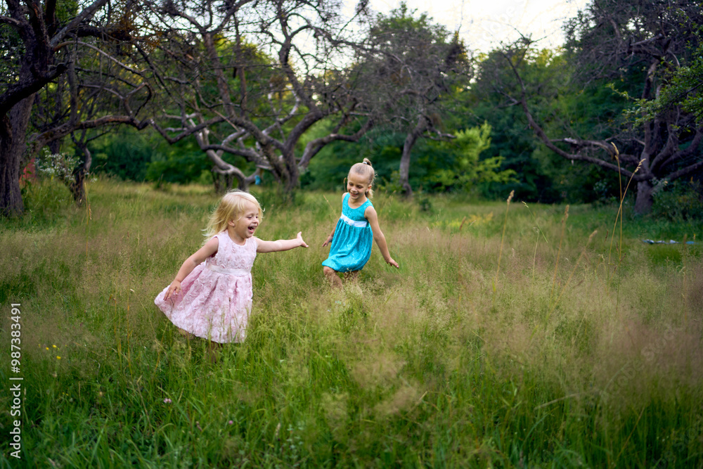 little sisters in dresses playing together in the tall grass little sisters in dresses playing together in the tall grass