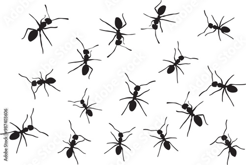Silhouette of ants. Group of ants on transparent background