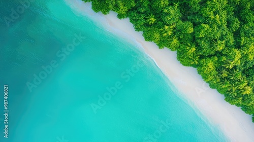 Aerial view of a pristine beach meeting lush greenery, showcasing vibrant blue waters and soft white sand under natural sunlight.