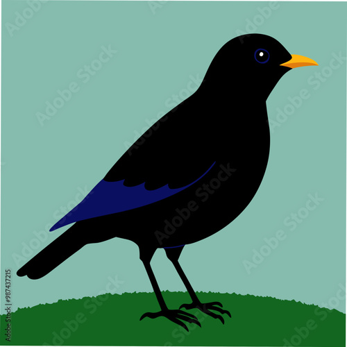 A vibrant vector artwork of the Blue Whistling Thrush bird, perfect for nature enthusiasts, bird watchers, and graphic designers seeking detailed and colorful wildlife-themed digital art.