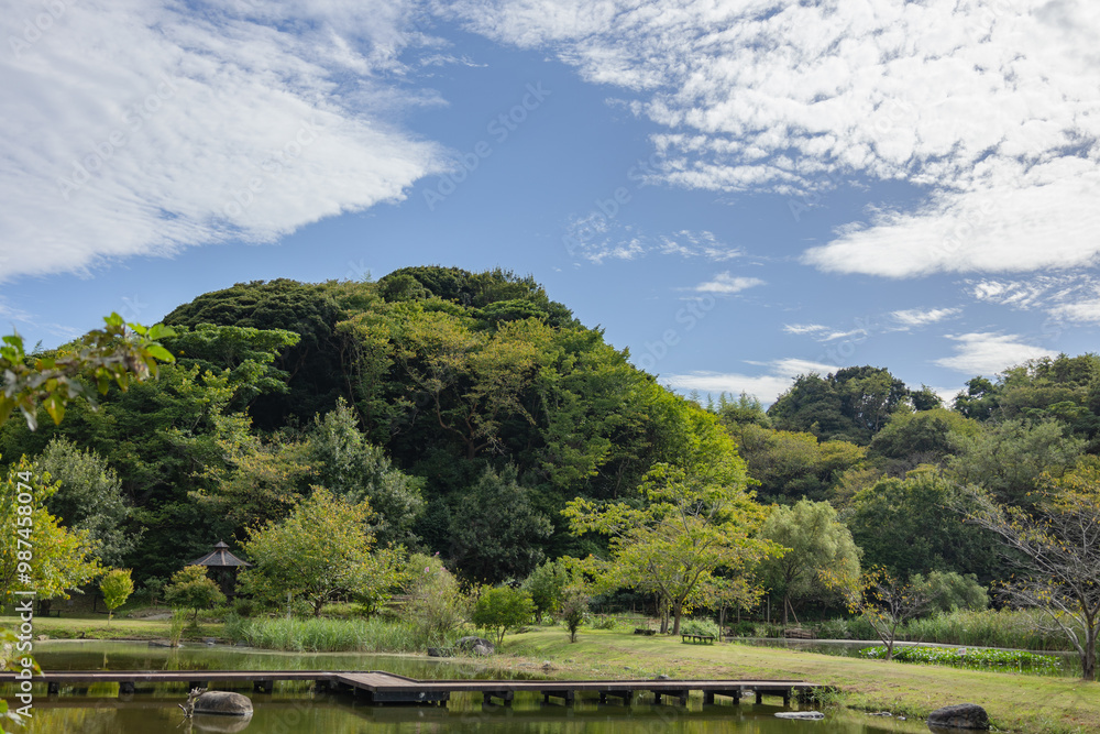 Fototapeta premium 赤羽緑地公園 茨城