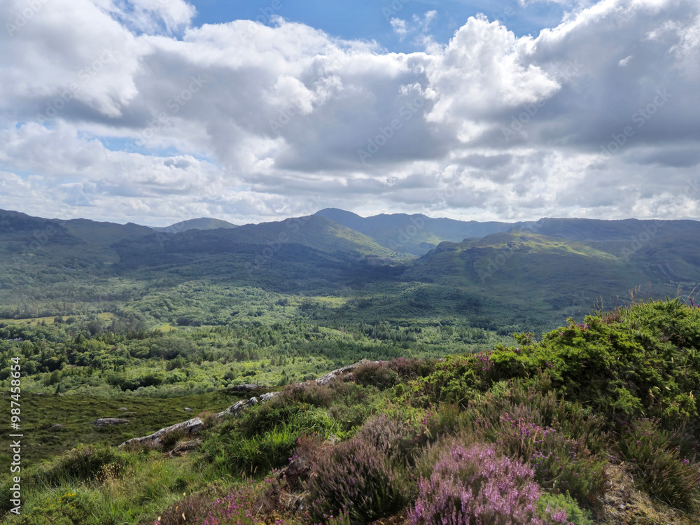 Obraz premium Green hills under blue summer sky landscape in Ireland