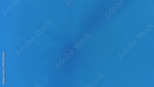 The underwater play of light shadows