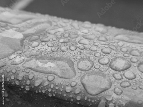 Water drops on a metal surface close view, raindrops on a fence black and white monochrome grayscale photo photo