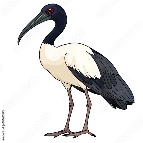 Sacred Ibis transparent icon | Icon | Anime