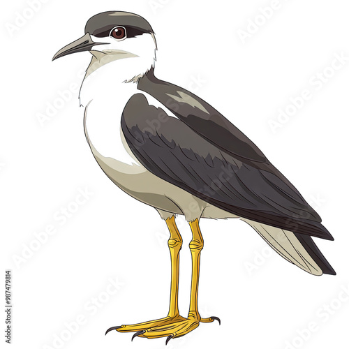 Grey headed Lapwing transparent icon | Icon | Anime photo