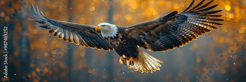 Bald eagle in flight with wings spread wide.