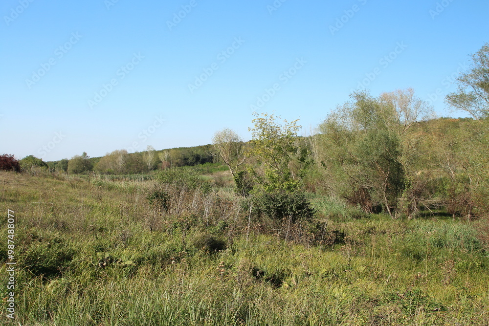 A grassy field with trees A grassy field with trees
