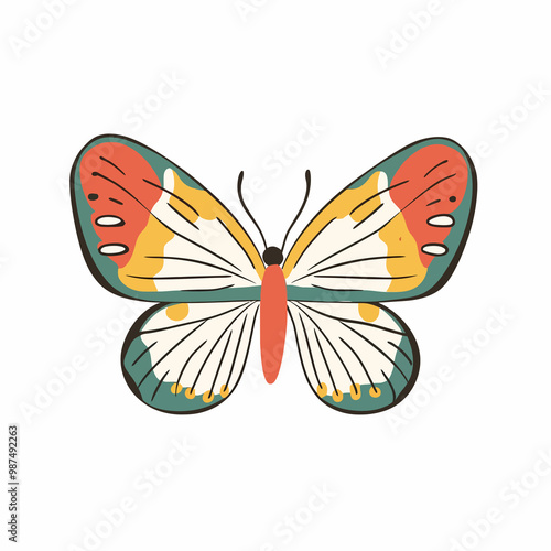 vector Butterfly 