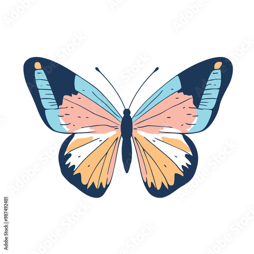 vector Butterfly 