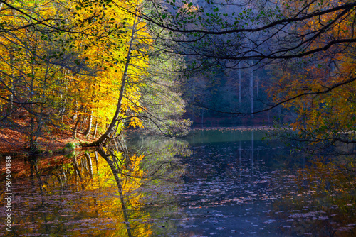 Atatürk Arboretum is a large green area where trees and woody plants are exhibited, located on the Kemerburgaz-Bahçeköy road in the Sarıyer district of Istanbul.