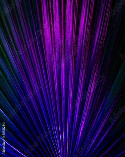 Neon light gradient pink blue palm leaves background linear pattern illustration header design element backdrop