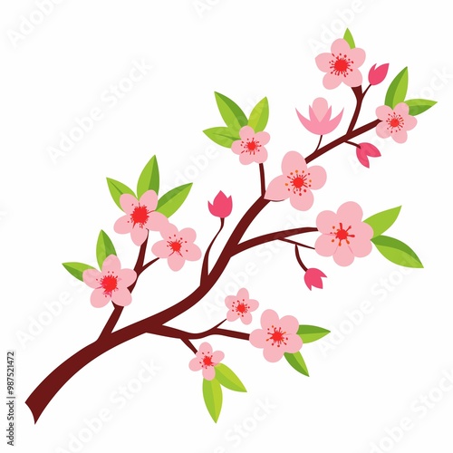 cherry blossom branch