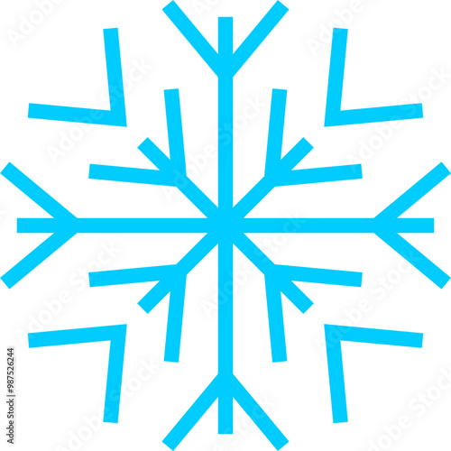 Snow Flake Icon