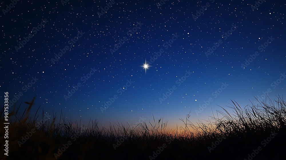 Naklejka premium Shining Star of Hope: Symbol of Solitude and Resilience in the Night Sky