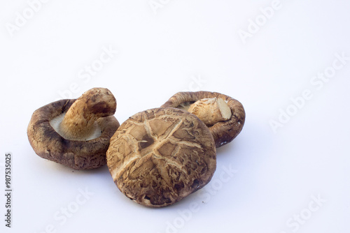 In Japan, shiitake mushrooms are cultivated using traditional methods. The process involves planting spores on logs and allowing them to incubate for two to three years before harvesting.  photo