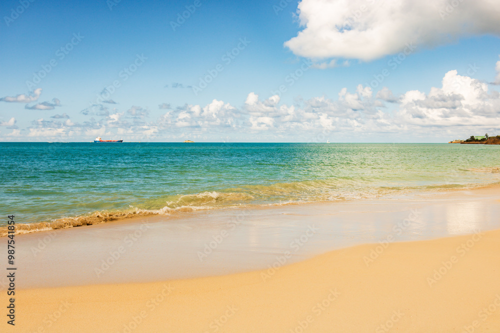Fototapeta premium Caribbean beach - Antigua Island