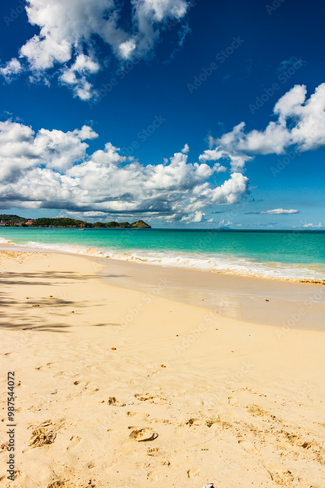 Fototapeta premium Caribbean beach - Antigua Island