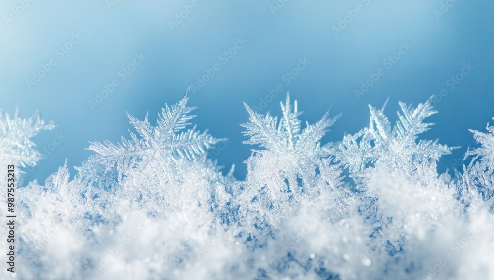 Close-Up of Delicate Snowflake Patterns Close-Up of Delicate Snowflake Patterns