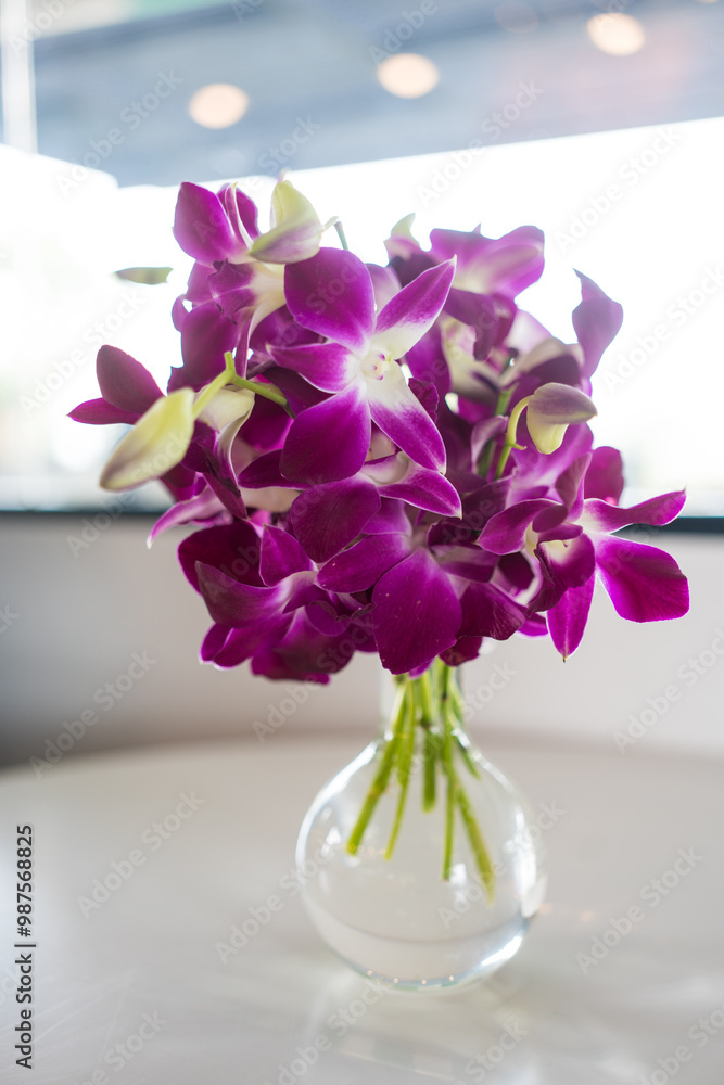 Obraz premium Pink orchid in glass vase on table in home
