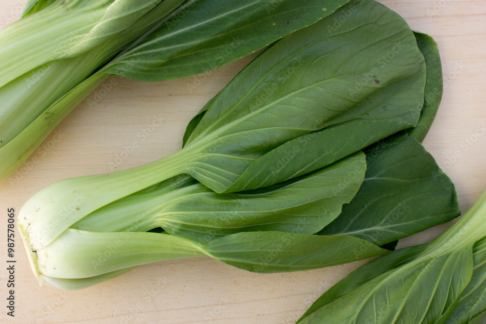 Fototapeta premium Immature Bok choy plants have the sweetest, tenderest stems and leaves.