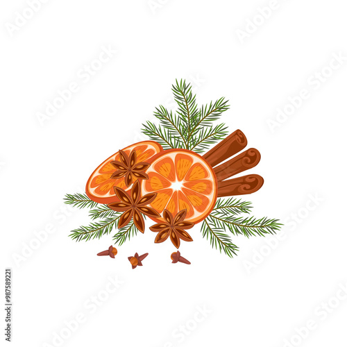 Christmas composition. Conifer branches with orange vector illustration. Pine cone, spruce, fir tree branches, cinnamon and rowan. Stock winter nature clipart isolated on white.