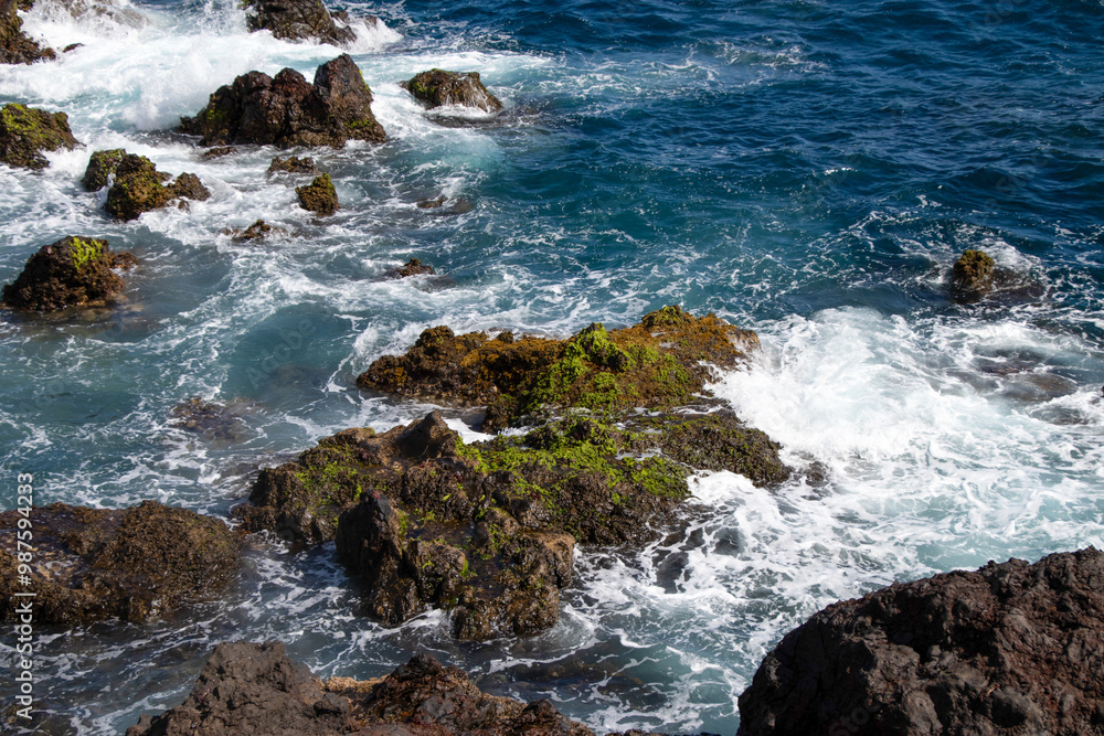 Tenerife - Tenerife -