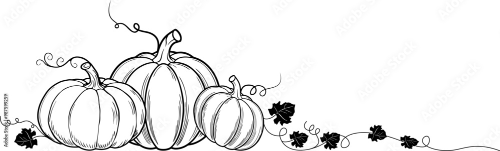 pumpkin lineart vector illustration,halloween pumpkin,element vector illustration pumpkin lineart vector illustration,halloween pumpkin,element vector illustration