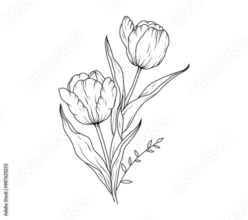 Tulip flower bouquet line art sketch. Floral outline hand drawn spring bouquet. Tulips black vintage linear bouquet vector illustration