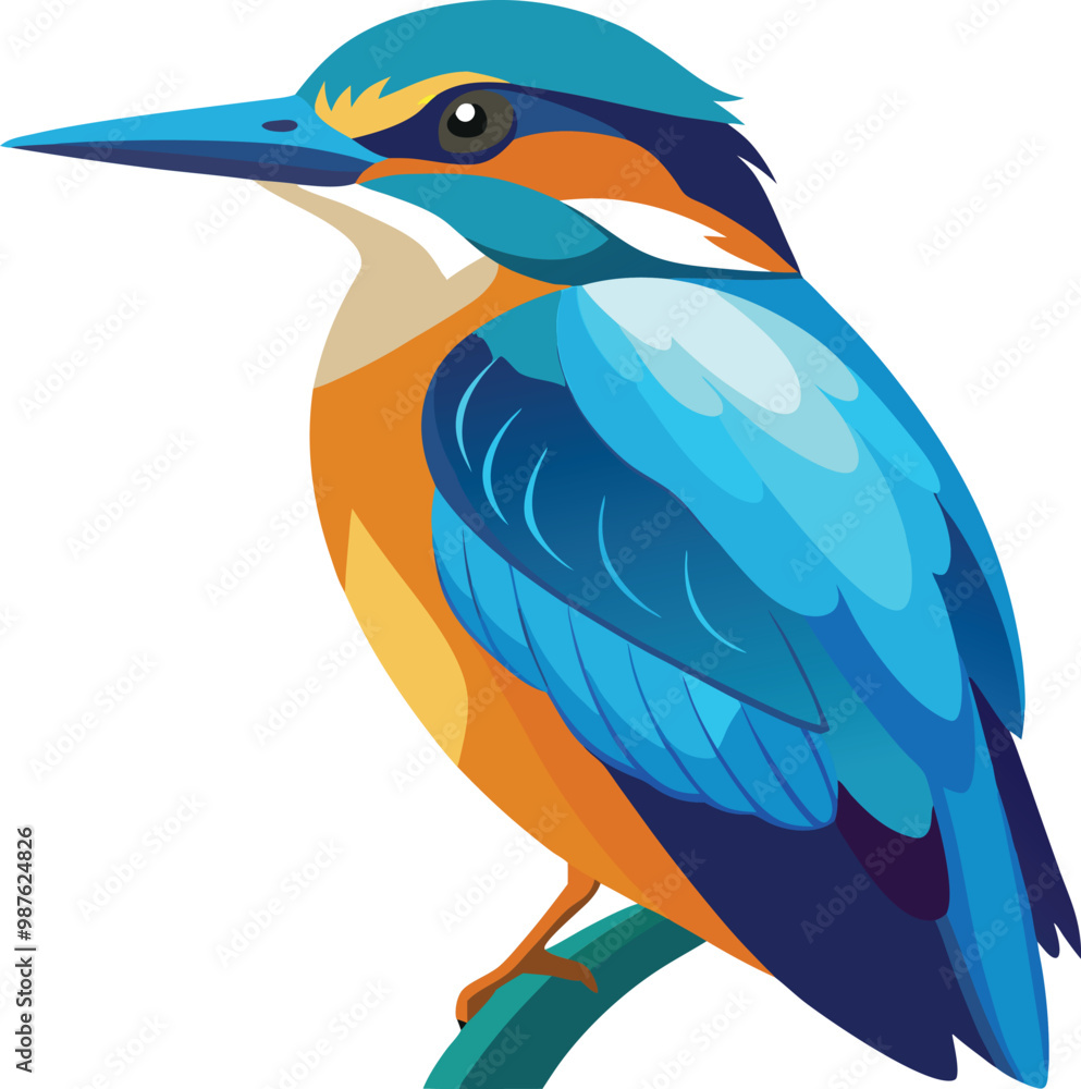 Fototapeta premium An animal of colorful Kingfisher vector art, kingfisher bird icon graphics illustration without background design, kingfisher seting and looking for hunt.