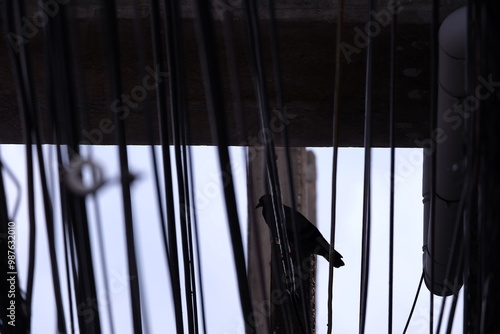 Fotografie living over the messy wire