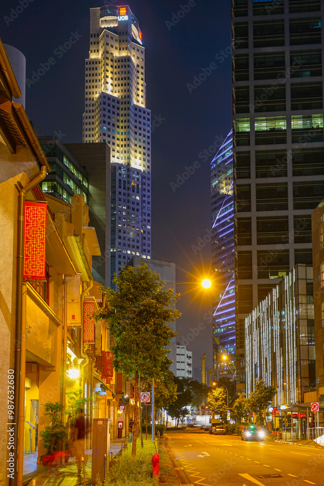 Obraz premium 夜のシティスケープ(シンガポール)