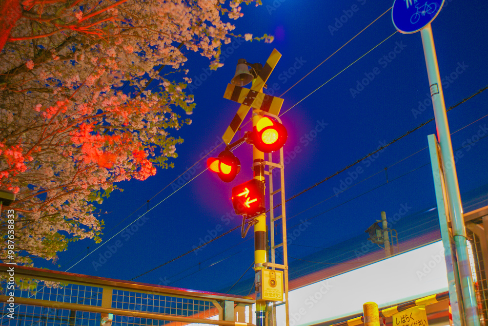 電車と夜桜