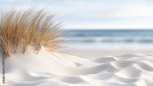 A sandy beach with prominent dune grass against a background of a calm ocean, showcasing a pristine natural environment that's perfect for relaxation and contemplation.