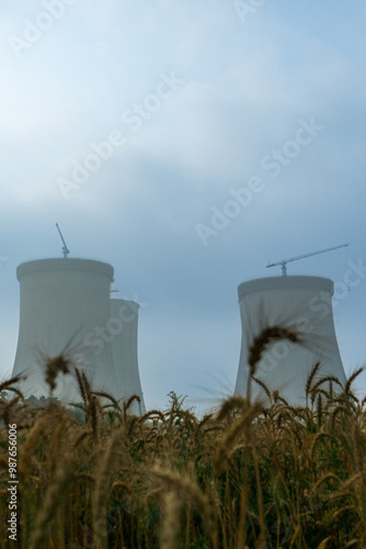 Obraz na płótnie Rye field near the Cooling towers of the Ruppur Nuclear Power Plant. Rooppur, Bangladesh w salonie