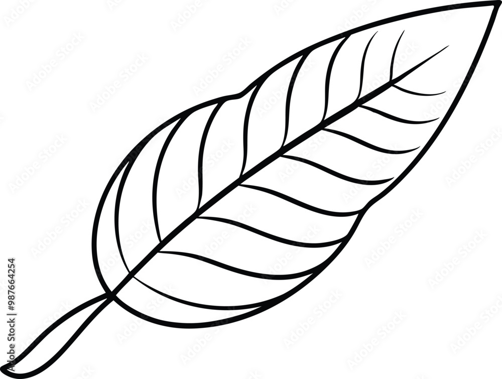Thin Line Tamarind Leaf Vector Drawing for Botanical Illustration Art
Thin Line Tamarind Leaf Vector Drawing for Botanical Illustration Art