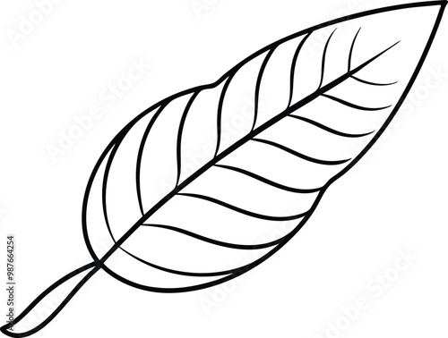 Thin Line Tamarind Leaf Vector Drawing for Botanical Illustration Art





