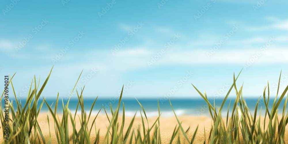 A close-up of blades of grass in the foreground, with a beach and ocean in the background. A close-up of blades of grass in the foreground, with a beach and ocean in the background.