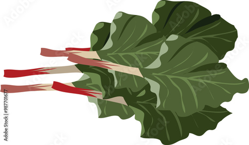 rubarb translated as Garden rhubarb png