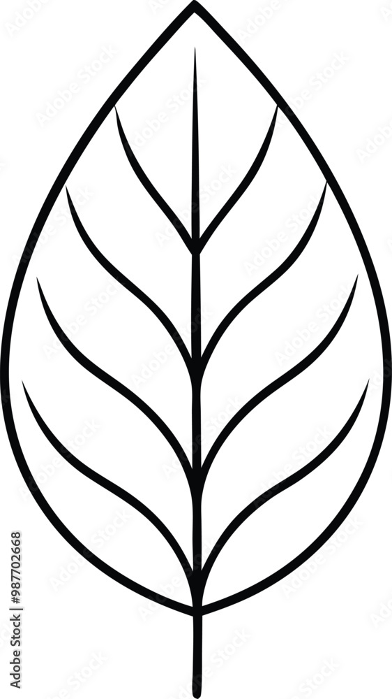 Eucalyptus Leaf Thin Line Vector Illustration Perfect for Modern Decor
Eucalyptus Leaf Thin Line Vector Illustration Perfect for Modern Decor
