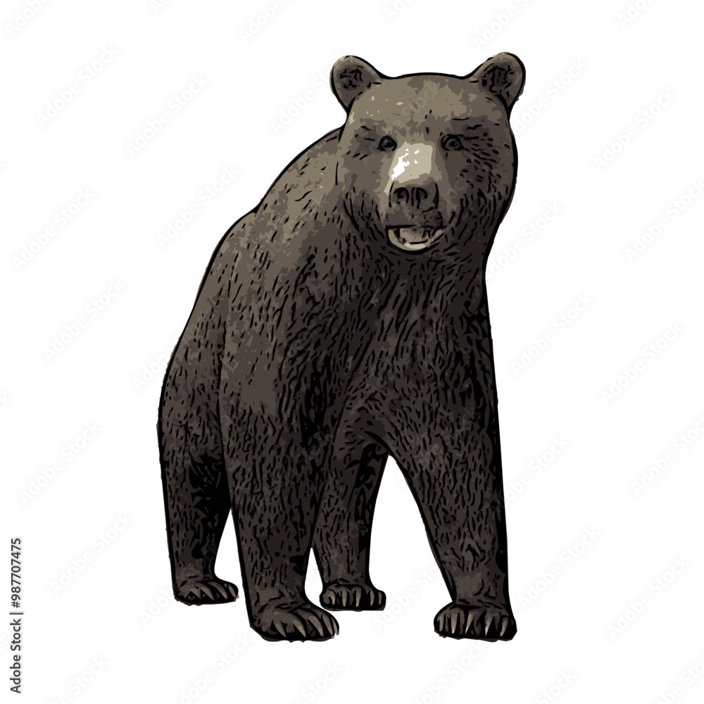 Fototapeta premium brown bear silhouette