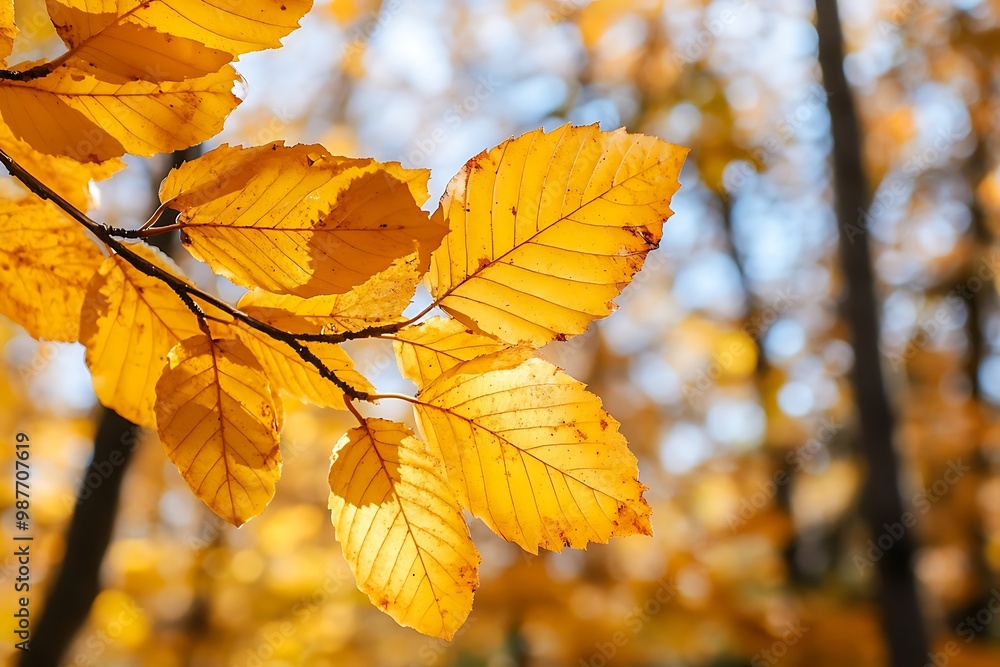 Golden autumn leaves on a branch against a blurred forest background Golden autumn leaves on a branch against a blurred forest background
