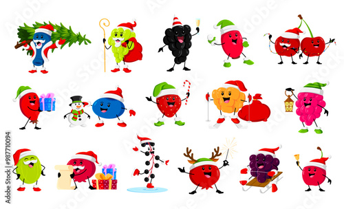 Cartoon Christmas holiday berry characters. Winter season Christmas holiday celebration berries cute vector personages, Merry Xmas funny honeyberry, grape, cherry and blackcurrant, rosehip, cowberry