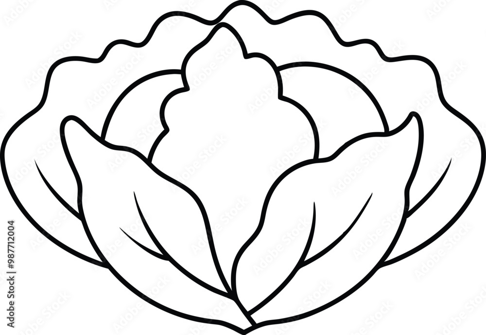 Thin Line Cabbage Leaf Vector Drawing Perfect for Art Lovers
Thin Line Cabbage Leaf Vector Drawing Perfect for Art Lovers