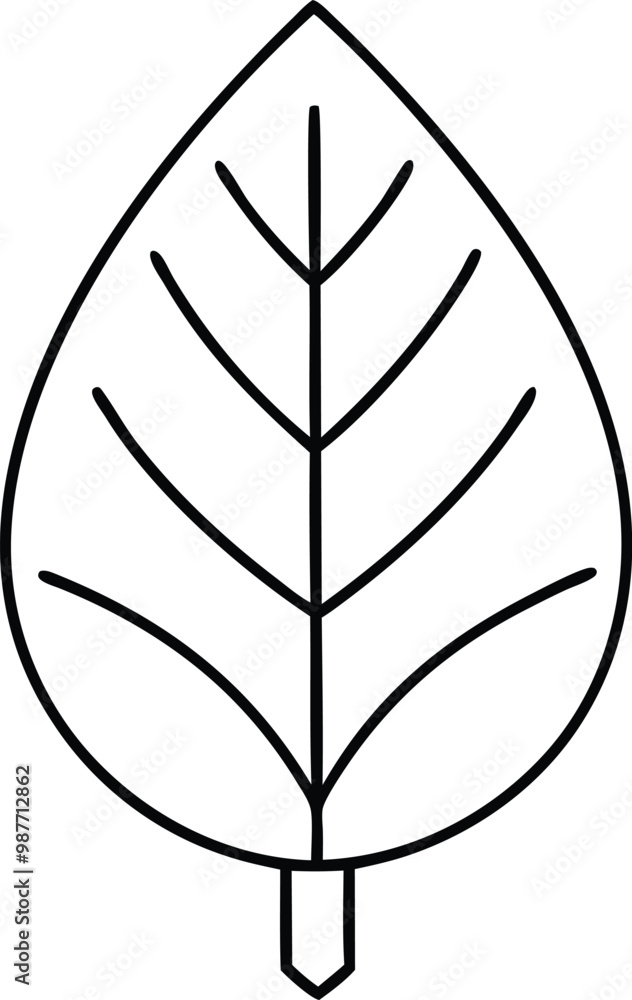 Baobab Leaf Thin Line Vector Art Perfect for Illustrations and Designs
Baobab Leaf Thin Line Vector Art Perfect for Illustrations and Designs